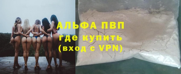 прущие грибы Кукмор
