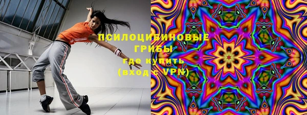 мяу мяу мука Абаза