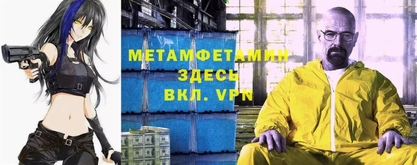 прущие грибы Кукмор