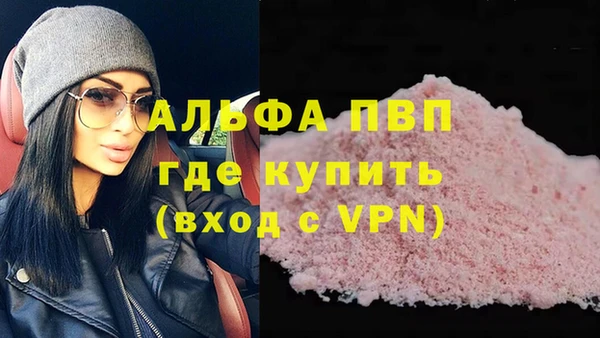 прущие грибы Кукмор