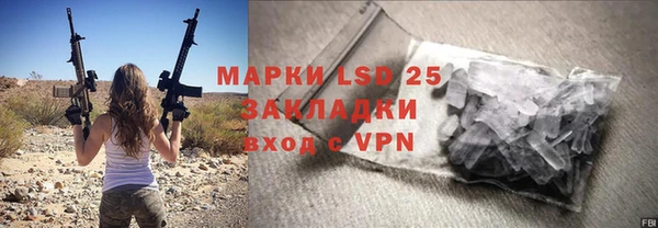 прущие грибы Кукмор