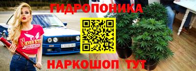 эйфоретик Аргун