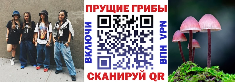Галлюциногенные грибы Psilocybine cubensis  кракен онион  Урус-Мартан  как найти наркотики 