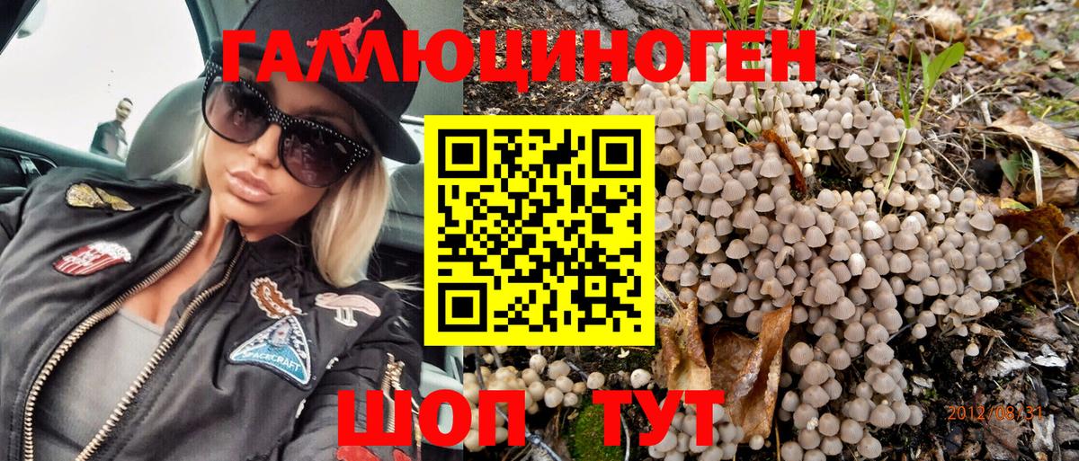 Псилоцибиновые грибы GOLDEN TEACHER  Вход с VPN  Урус-Мартан 