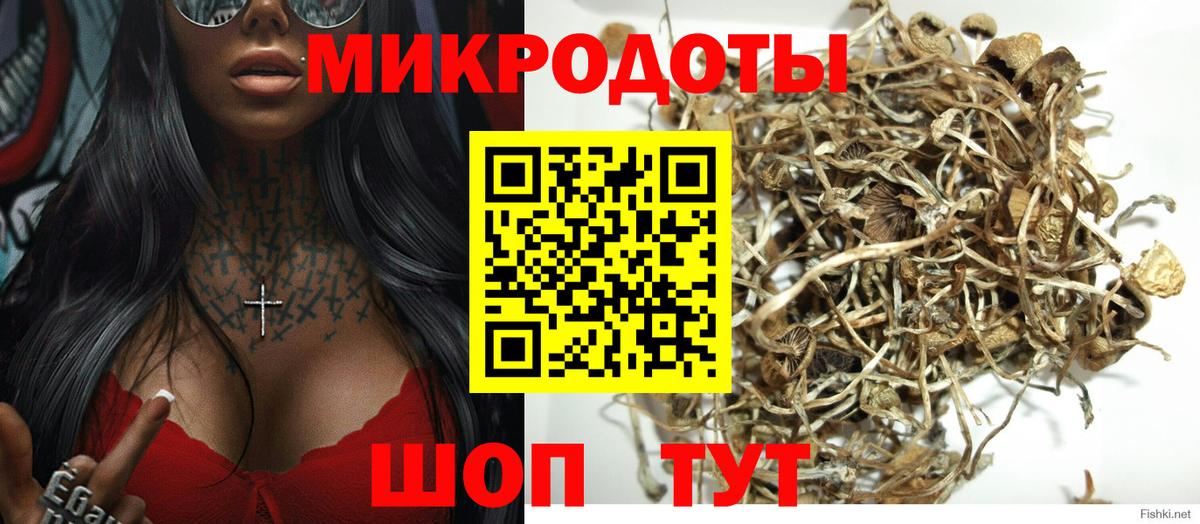 Галлюциногенные грибы Psilocybe Урус-Мартан